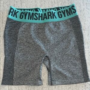 Gymshark Gray and Teal Shorts